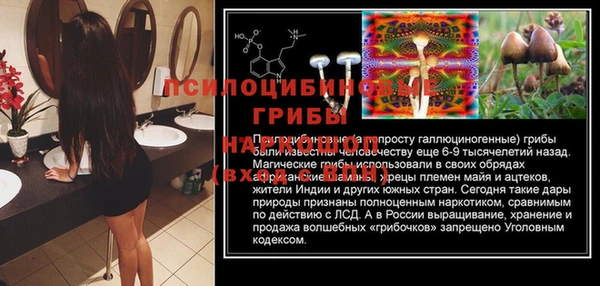 MESCALINE Верхний Тагил